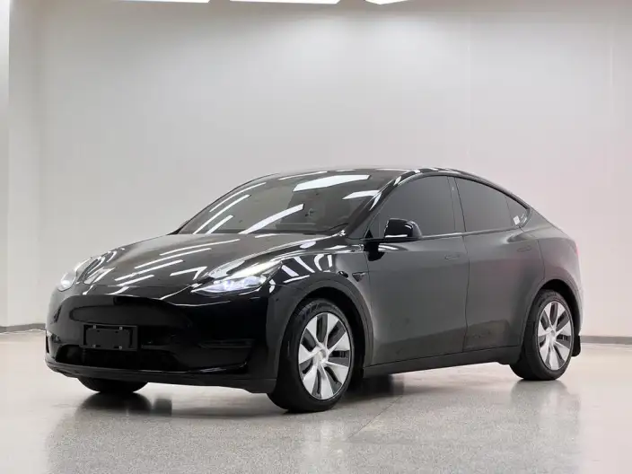 Model Y 2021 Model Long Battery Life Pro All-wheel drive version 3D3/3D7