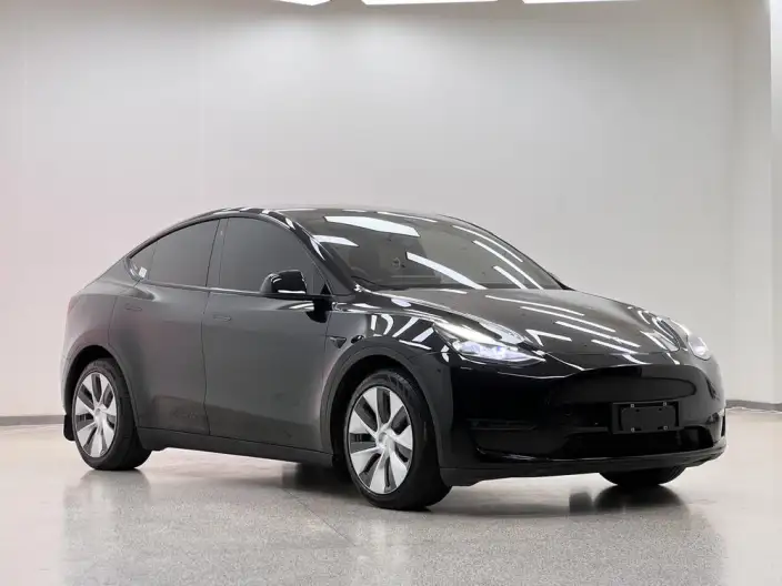 Model Y 2021 Model Long Battery Life Pro All-wheel drive version 3D3/3D7