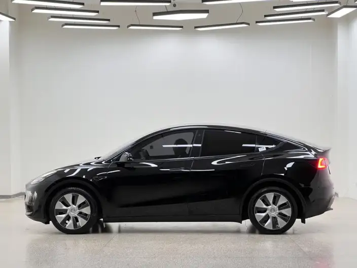 Model Y 2021 Model Long Battery Life Pro All-wheel drive version 3D3/3D7