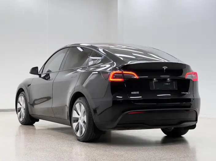 Model Y 2021 Model Long Battery Life Pro All-wheel drive version 3D3/3D7 – фото 5