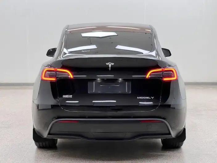 Model Y 2021 Model Long Battery Life Pro All-wheel drive version 3D3/3D7 – фото 6