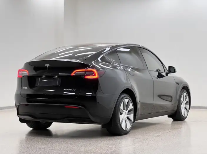 Model Y 2021 Model Long Battery Life Pro All-wheel drive version 3D3/3D7 – фото 7