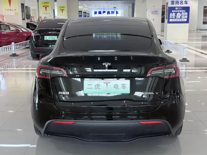 Model Y 2022 Model Rear-wheel drive version – фото 5
