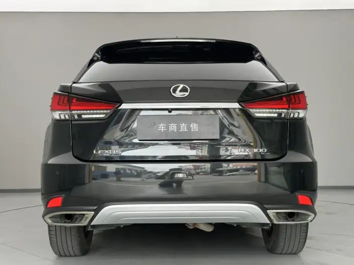 Lexus RX 2021 Model 300 4WD F SPORT – фото 5