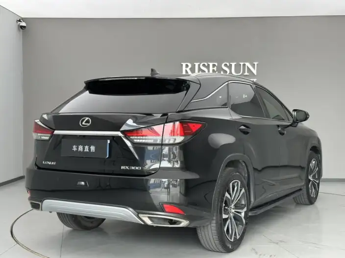 Lexus RX 2021 Model 300 4WD F SPORT – фото 6