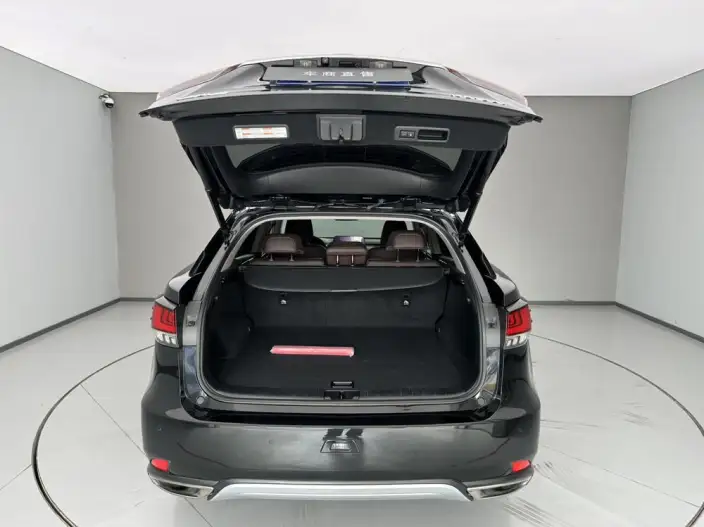 Lexus RX 2021 Model 300 4WD F SPORT – фото 8