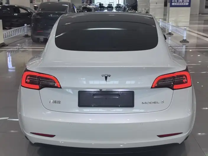 Model 3 2022 Model Rear-wheel drive version – фото 5