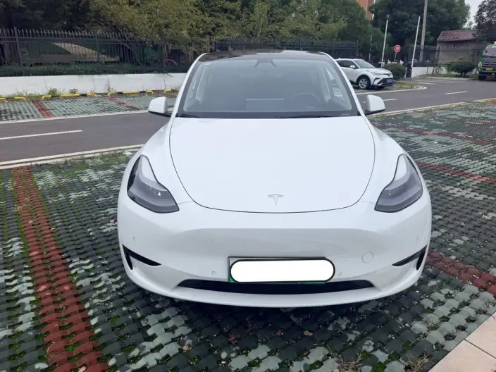 Model Y 2022 Model Facelift Rear-wheel drive version