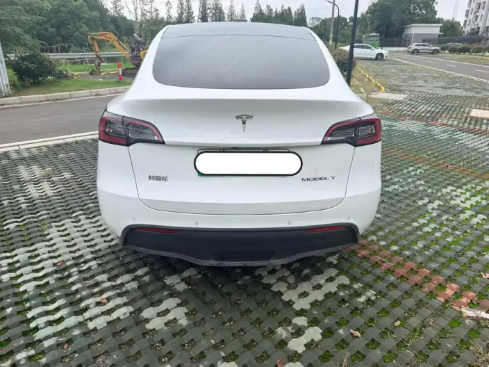 Model Y 2022 Model Facelift Rear-wheel drive version