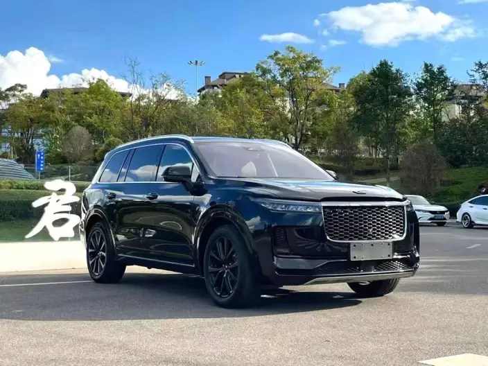 Li Auto ONE 2021 Model Extended Range 6 seat Edition – фото 3
