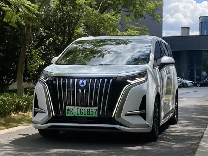 Denza D9 EV 2024 Model 600 4WD Flagship Model