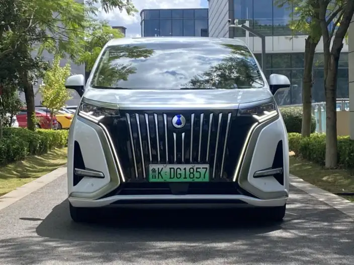Denza D9 EV 2024 Model 600 4WD Flagship Model