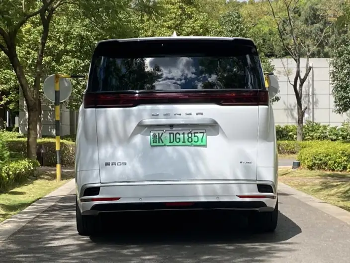 Denza D9 EV 2024 Model 600 4WD Flagship Model – фото 5
