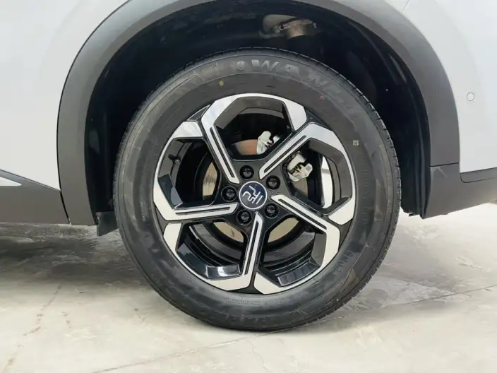 BYD Yuan PLUS 2025 Model Smart Driving Edition 510KM Leading Model – фото 9