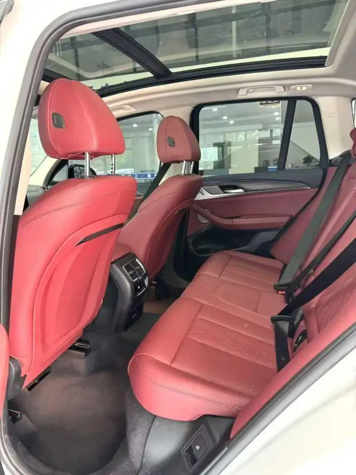 BMW X3 2022 Model Facelift xDrive30i Leading Model M Night Set – фото 8