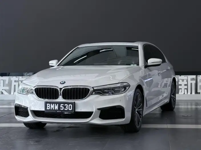 BMW 5 Series 2020 Model 530Li Exclusive Model M Sports Set – фото 1