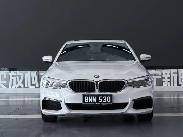 BMW 5 Series 2020 Model 530Li Exclusive Model M Sports Set – фото 2