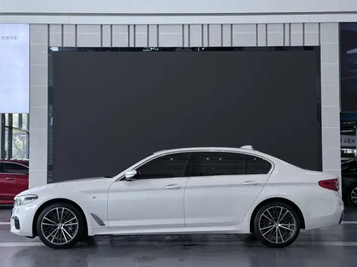 BMW 5 Series 2020 Model 530Li Exclusive Model M Sports Set – фото 3