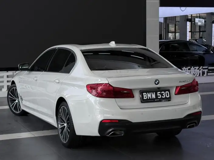 BMW 5 Series 2020 Model 530Li Exclusive Model M Sports Set – фото 4
