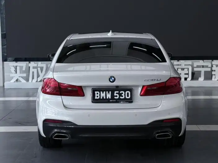 BMW 5 Series 2020 Model 530Li Exclusive Model M Sports Set – фото 5