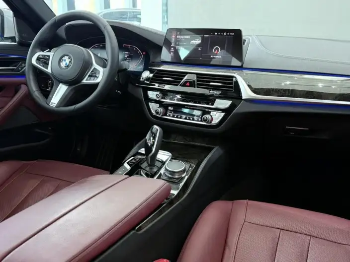 BMW 5 Series 2020 Model 530Li Exclusive Model M Sports Set – фото 8