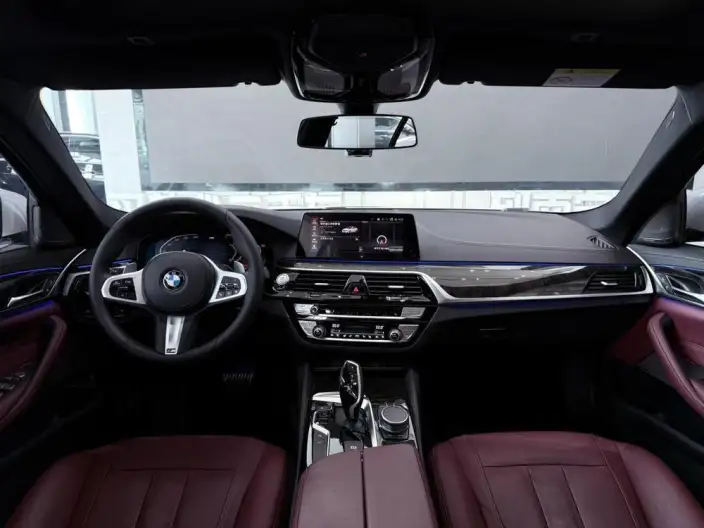 BMW 5 Series 2020 Model 530Li Exclusive Model M Sports Set – фото 10