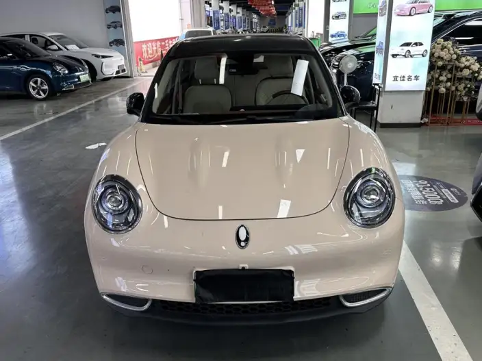 ORA Good Cat 2024 Model 401km Zunrong Model