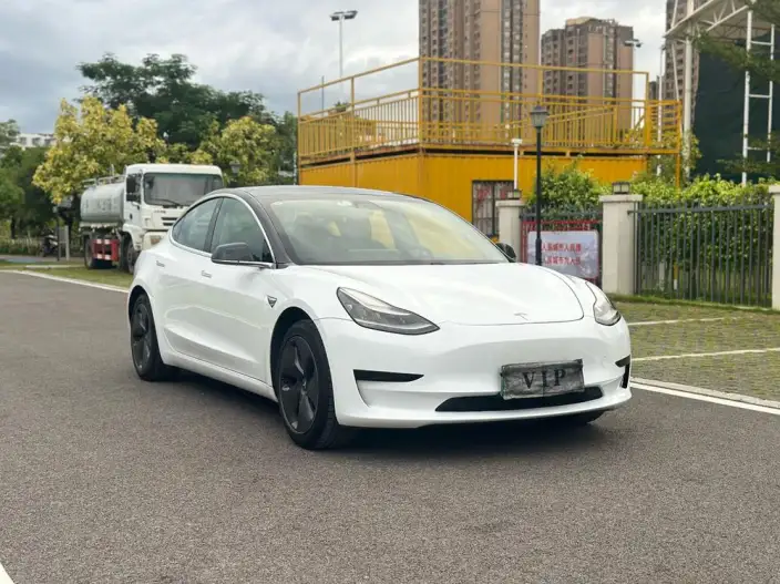 Model 3 2020 Model Standard Battery Life Rear Drive L Class Edition – фото 3