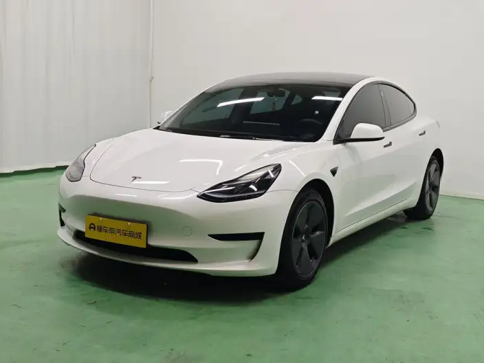 Model 3 2022 Model Rear-wheel drive version – фото 1