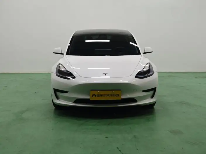 Model 3 2022 Model Rear-wheel drive version – фото 2
