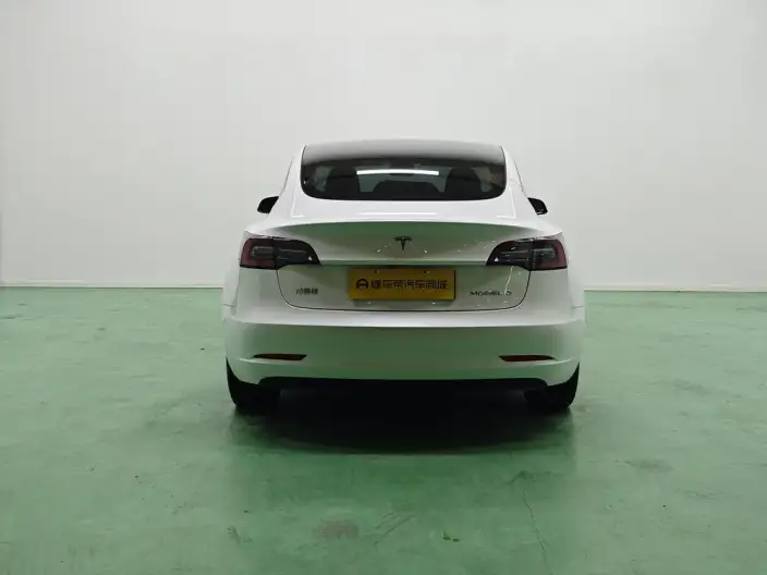 Model 3 2022 Model Rear-wheel drive version – фото 6