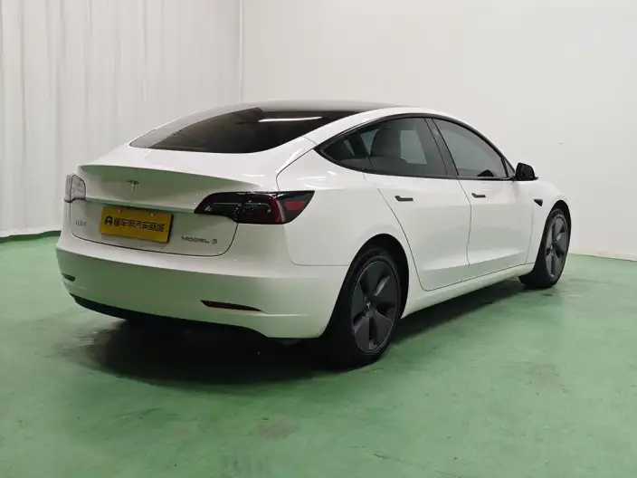 Model 3 2022 Model Rear-wheel drive version – фото 7