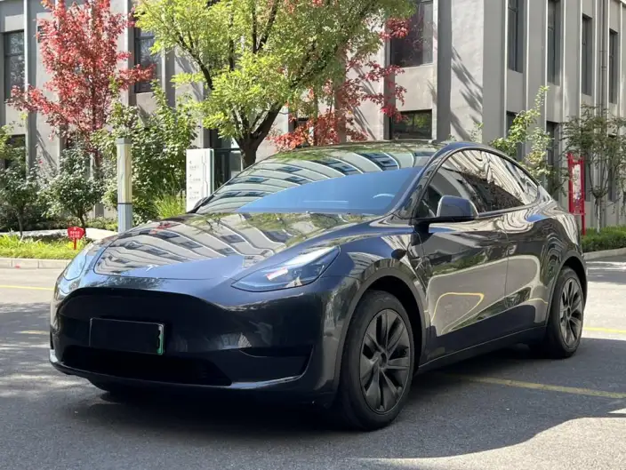 Model Y 2024 Model Rear-wheel drive version – фото 1