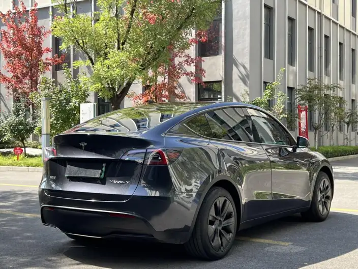 Model Y 2024 Model Rear-wheel drive version – фото 7