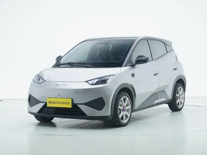 BYD Seagull 2025 Model Smart Driving Edition 305KM Free Edition – фото 1