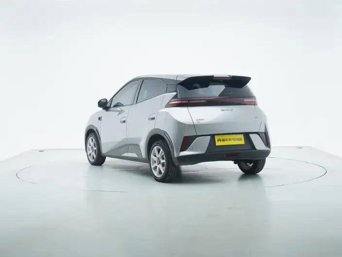 BYD Seagull 2025 Model Smart Driving Edition 305KM Free Edition – фото 5