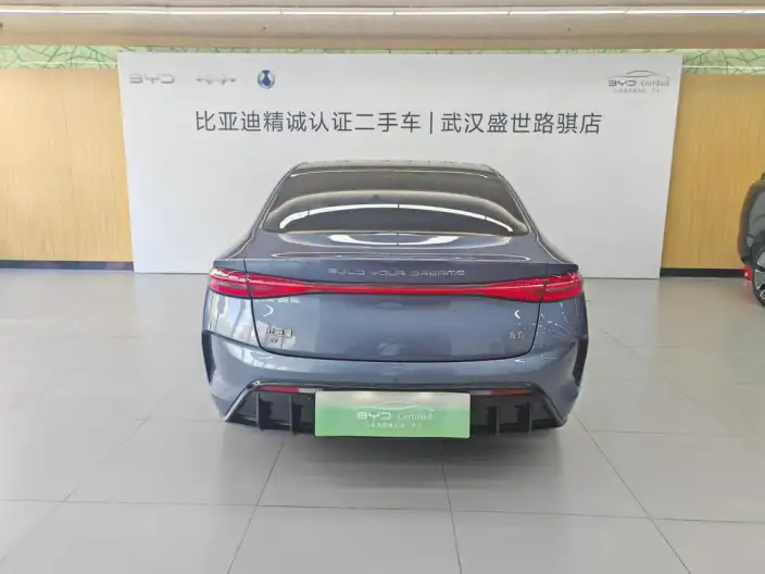 BYD Seal 2023 Model 700KM Champion Edition Noble Model – фото 4