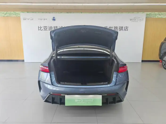 BYD Seal 2023 Model 700KM Champion Edition Noble Model – фото 6