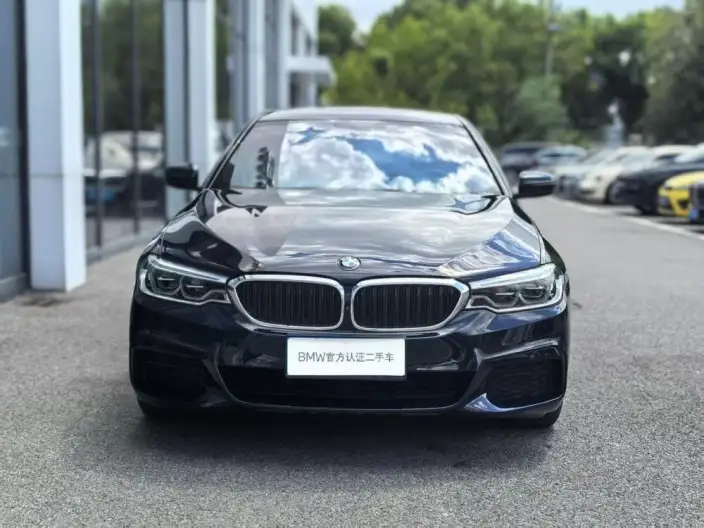 BMW 5 Series 2020 Model 530Li Exclusive Model M Sports Set – фото 2
