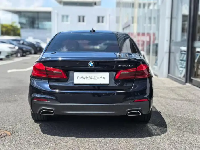 BMW 5 Series 2020 Model 530Li Exclusive Model M Sports Set – фото 4