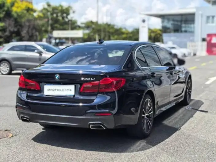 BMW 5 Series 2020 Model 530Li Exclusive Model M Sports Set – фото 5