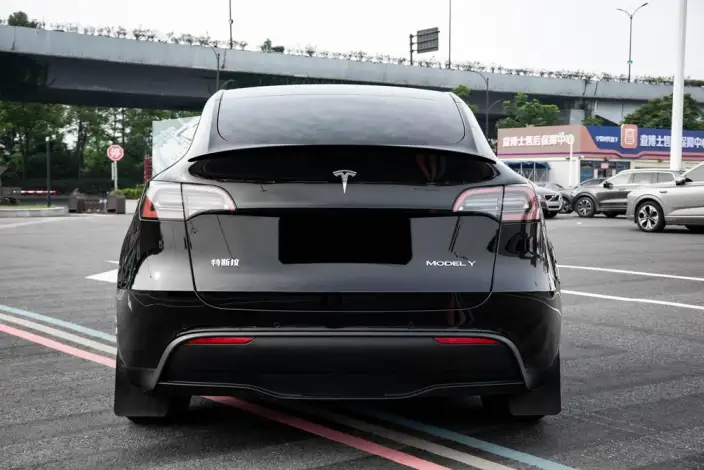 Model Y 2022 Model Rear-wheel drive version – фото 6