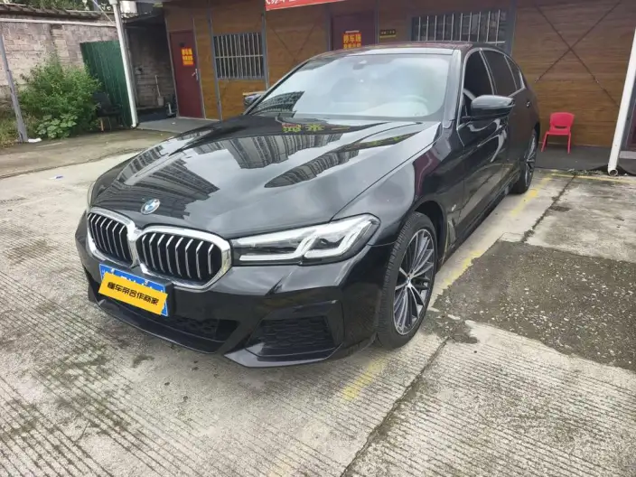 BMW 5 Series 2023 Model 530Li Leading Model M Sports Set – фото 10