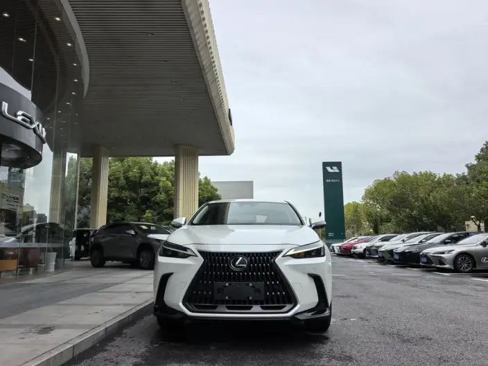 Lexus NX 2023 Model 260 Qian Drive Innovation Drive Edition