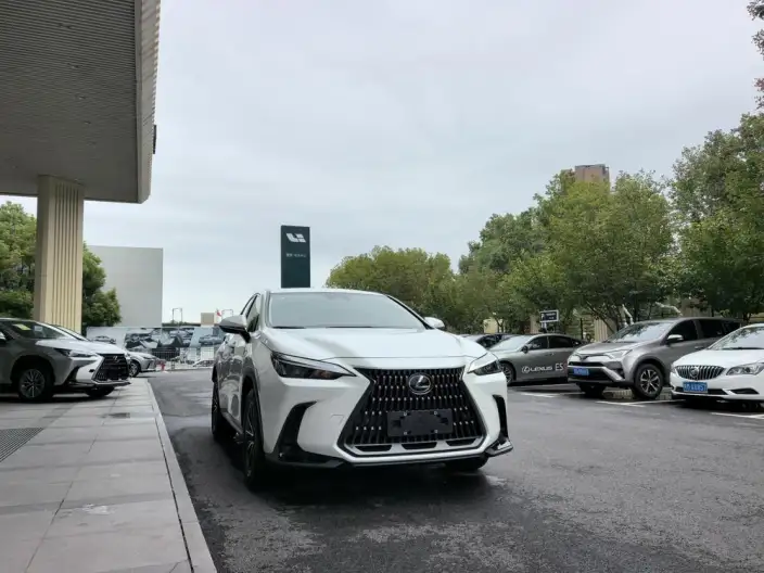 Lexus NX 2023 Model 260 Qian Drive Innovation Drive Edition