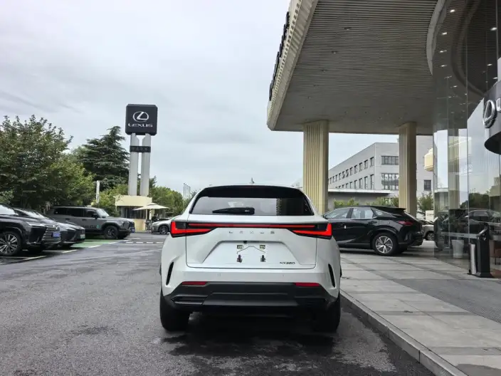 Lexus NX 2023 Model 260 Qian Drive Innovation Drive Edition – фото 5