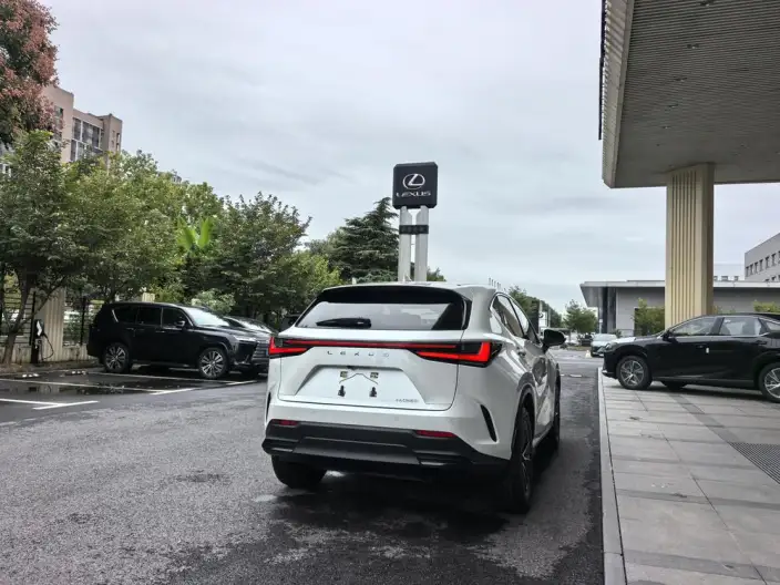 Lexus NX 2023 Model 260 Qian Drive Innovation Drive Edition – фото 6