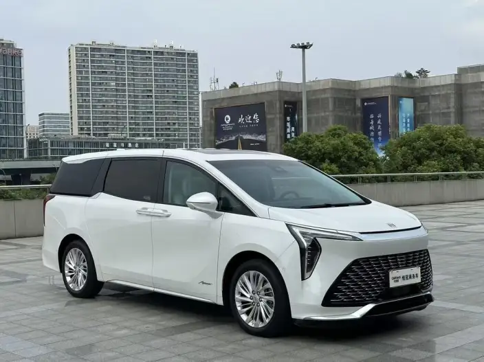 Century 2023 Model 2.0T VI seat Yunshi Edition