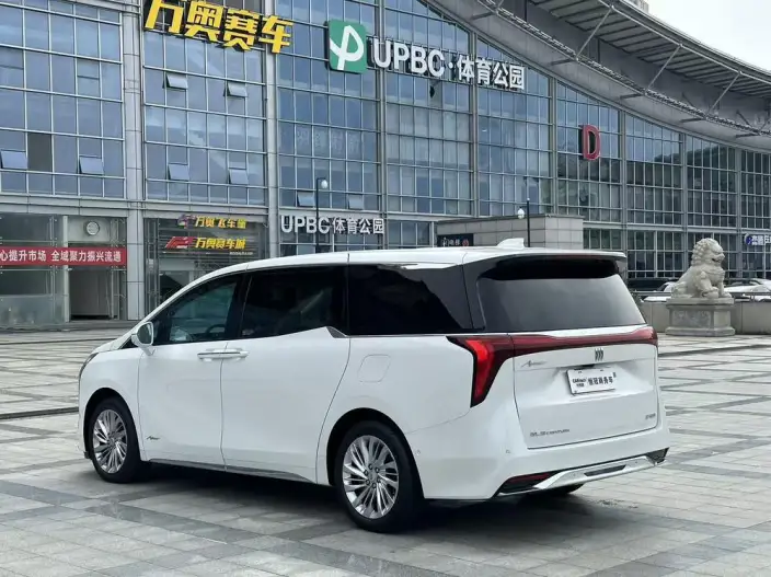 Century 2023 Model 2.0T VI seat Yunshi Edition – фото 5
