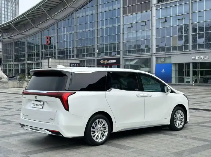 Century 2023 Model 2.0T VI seat Yunshi Edition – фото 7
